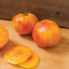 Margold/Estamino Organic Tomato Seed