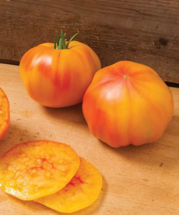 Margold/Estamino Organic Tomato Seed