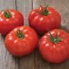 Marbonne/Estamino Organic Tomato Seed