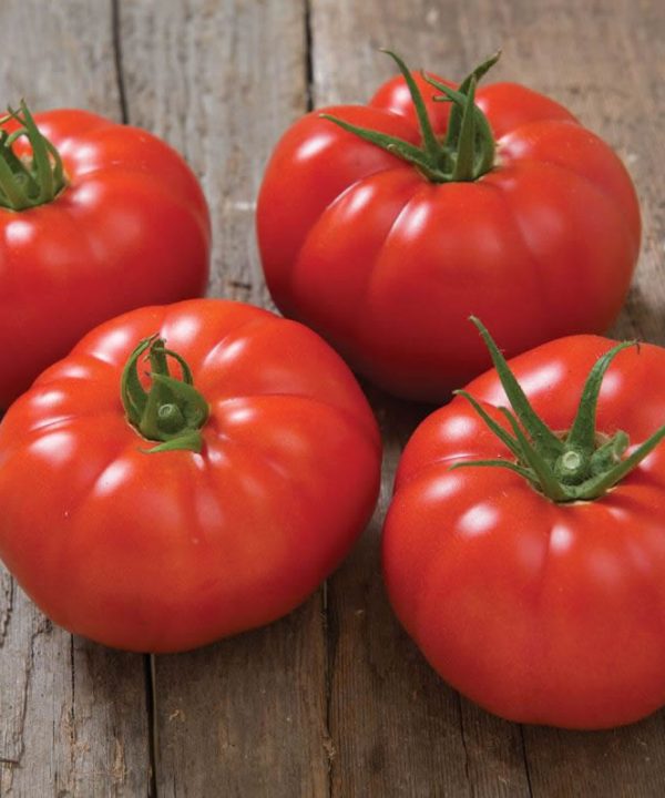 Marbonne/Estamino Organic Tomato Seed