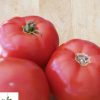 BHN-589/Shin Cheong Gang Grafted - Organic (F1) Tomato Seeds