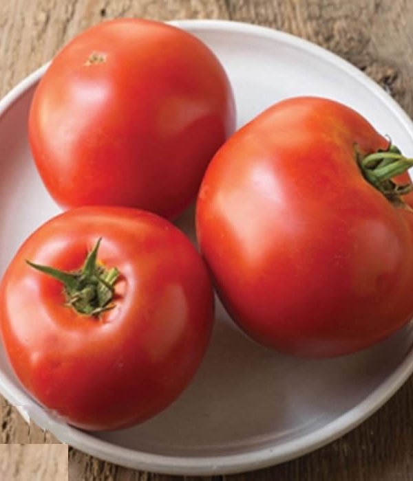 Big Beef/Shin Cheong Gang Grafted - Organic (F1) Tomato Seed