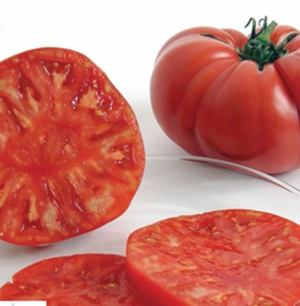 Brandywine/Shin Cheong Gang Grafted - Organic (F1) Tomato Seed