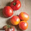 Grafted French Heritage Tomato Seeds
