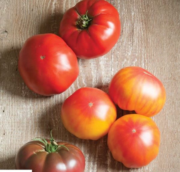 Grafted French Heritage Tomato Seeds
