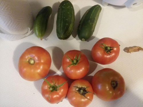 Jackson Supreme - (F1) Cucumber Seed photo review