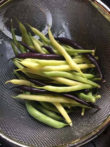 Trilogy - Organic Bean Seed photo review