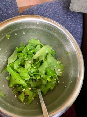 Concept - Organic Lettuce Seed photo review