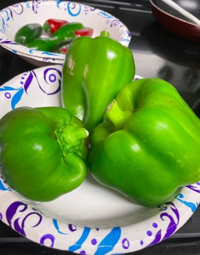 Procraft - (F1) Bell Pepper Seed photo review