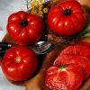 DRO141TX - (F1) Tomato Seed