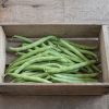 Provider - Bean Seed