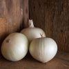 Sierra Blanca - (F1) Onion Seed