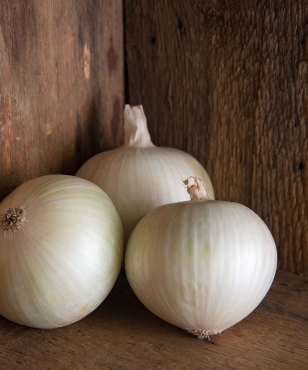 Sierra Blanca - (F1) Onion Seed
