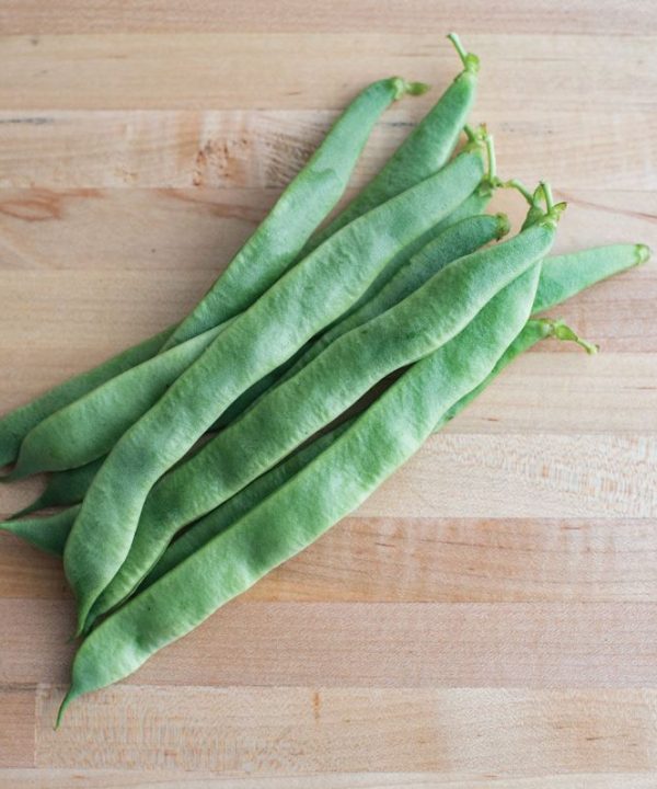Jumbo - Organic Bean Seed