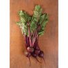 Early Wonder Tall Top - Beet Seed