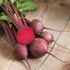 Red Ace - (F1) Beet Seed