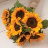 Sonja - Sunflower Seed