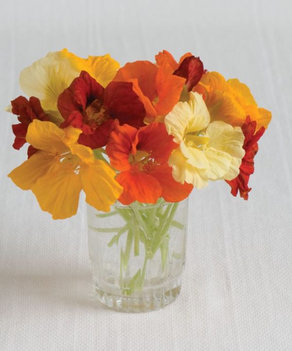 Jewel Mix - Nasturtium Seed