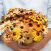 Flashback Mix - Organic Calendula Seed