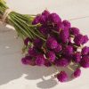 QIS? Purple - Gomphrena Seed