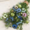 Love-In-A-Mist - Organic Nigella Seed