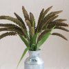 Highlander - Ornamental Grass Seed