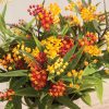 Silky Formula Mix - Asclepias Seed