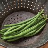 Jade - Organic Bean Seed