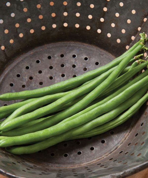 Jade - Organic Bean Seed