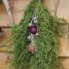 Sweet Annie - Organic Artemisia Seed