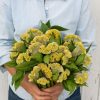 Cramer's Lemon Lime - Celosia Seed