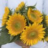 Sunrich Gold - (F1) Sunflower Seed