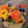 Edible Flower Collection - Flower Seed