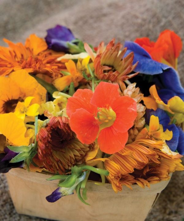Edible Flower Collection - Flower Seed