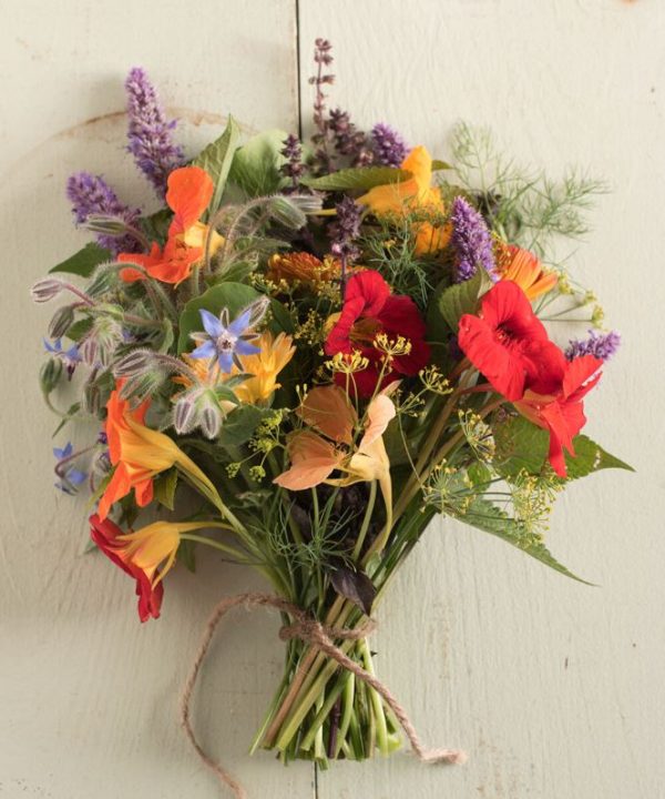 Organic Edible Flower Collection - Organic Flower Seed