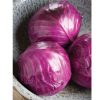 Ruby Perfection - (F1) Cabbage Seed