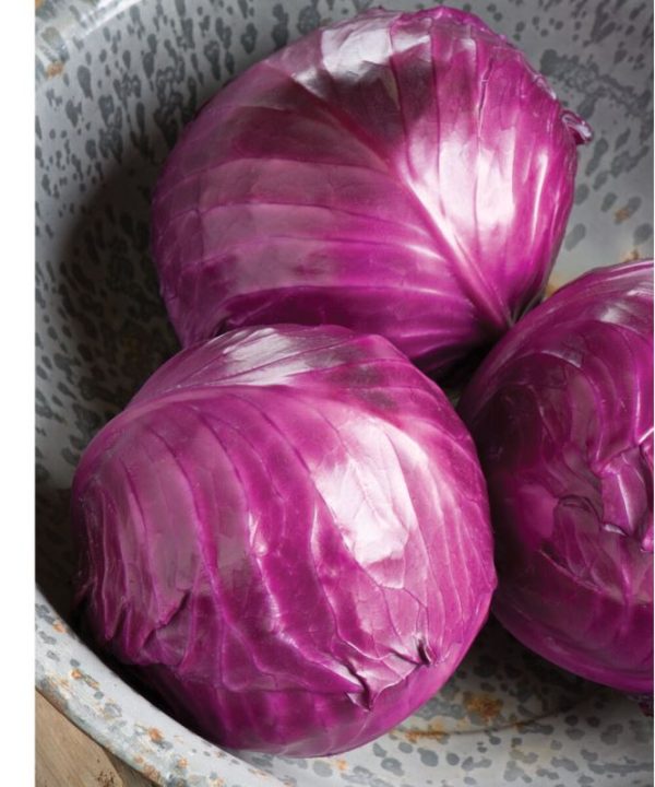 Ruby Perfection - (F1) Cabbage Seed