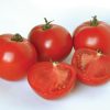 Polbig - (F1) Tomato Seed