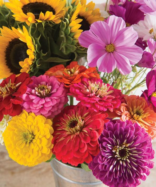 Cut Flower Kit for Market Growers - Flower Seed