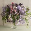 Spencer Ripple Formula Mix Sweet Pea Seed