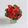 Empress of India - Nasturtium Seed