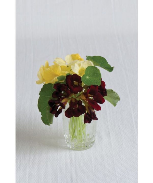 Night and Day - Nasturtium Seed