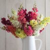 Madame Butterfly Mix - Snapdragon Seed