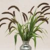 Lowlander - Ornamental Grass Seed