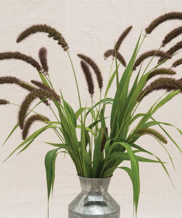 Lowlander - Ornamental Grass Seed
