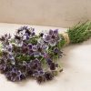 Delft Blue - Nigella Seed