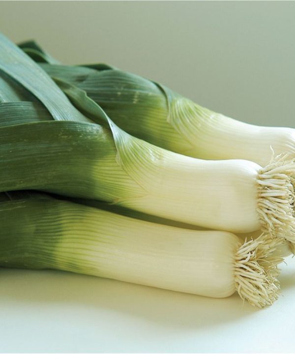 Bandit - Organic Leek Seed