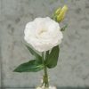 Mariachi Pure White Lisianthus