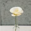 Mariachi Yellow - Lisianthus Seed