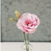 Mariachi Pink - (F1) Lisianthus Seed